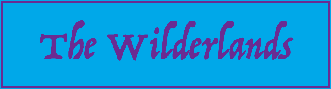 Wilderlands of High Fantasy banner